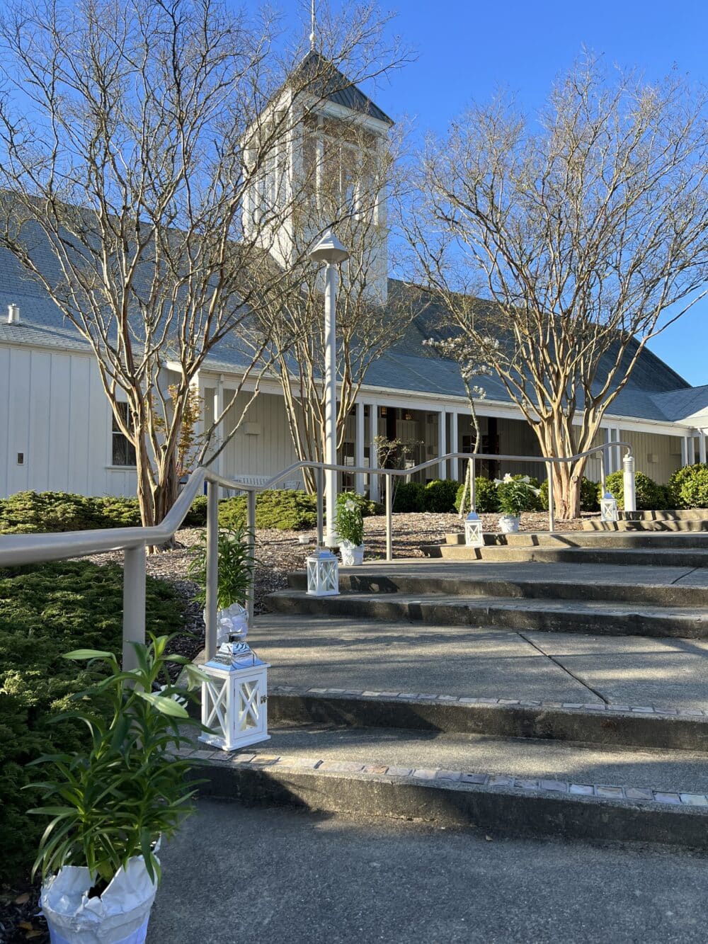 Origami Doves Installation View